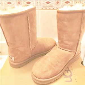 🆕 CLASSIC SHORT UGG BOOTS